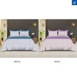 Florentine_page-0009